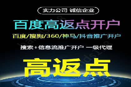 成功企业背后的百度推广策略